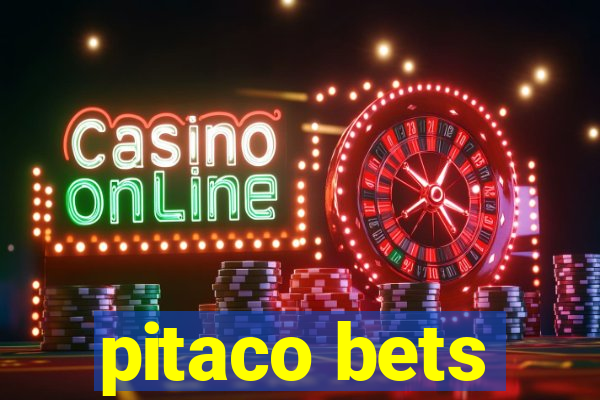 pitaco bets